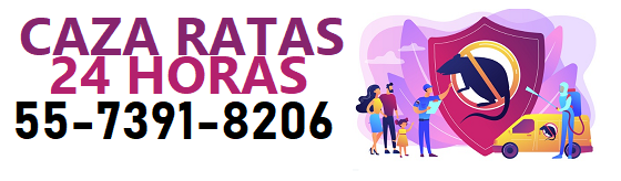 CAZADORES DE RATAS EN CDMX