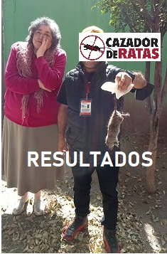 EXTERMINADOR DE RATAS EN CDMX