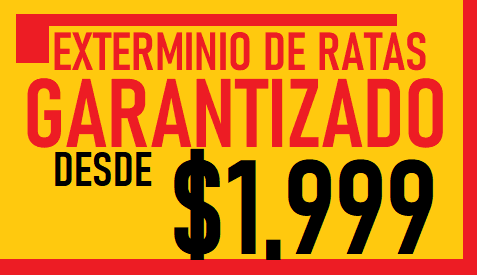 FUMIGADORE DE RATAS PRECIO