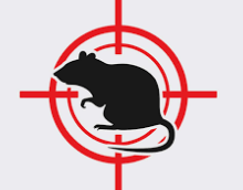 EXTERMINADOR DE RATAS EN CDMX