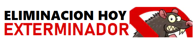 EXTERMINADOR DE RATAS A DOMICILIO